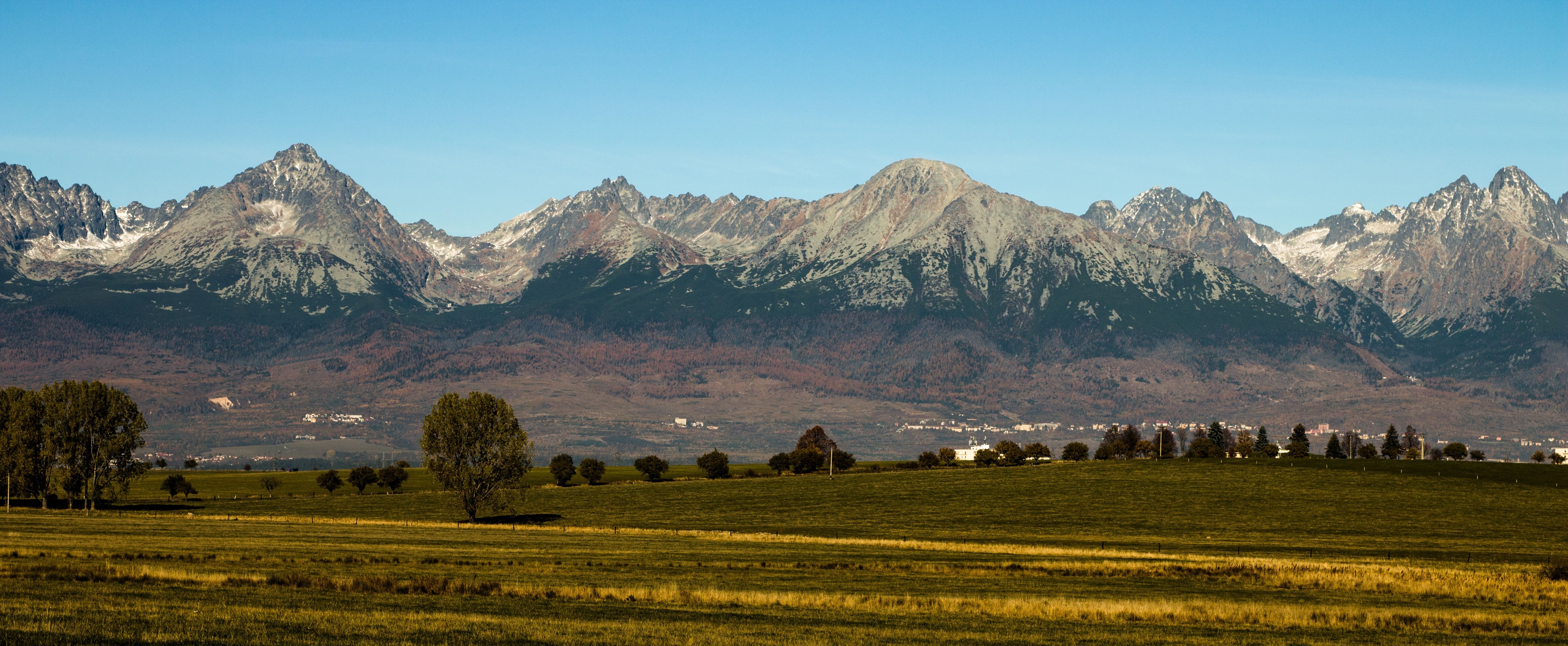 main-bg
